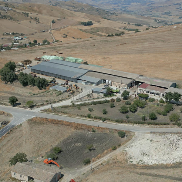 Gallery Tenuta Rooster