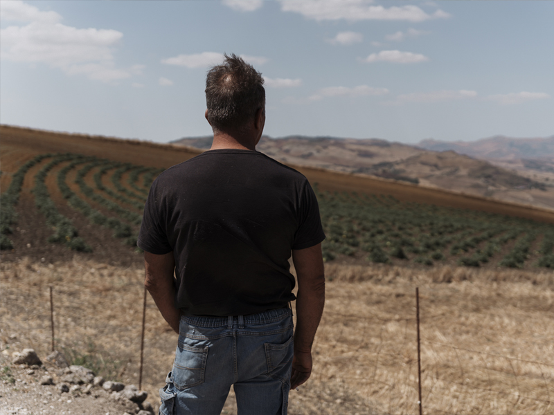 A story of family and countryside between tradition, innovation and experience